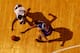 Despite their hard work, five Knicks were overshadowed by one this preseason.