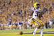 BATON ROUGE, LA - OCTOBER 13: Jeremy Hill #33 of the LSU Tigers celebrates his touchdown run against the South Carolina Gamecocks in the fourth quarter at Tiger Stadium on October 13, 2012 in Baton Rouge, Louisiana. (Photo by Ronald Martinez/Getty Images)