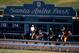 ARCADIA, CA - OCTOBER 29: Horses train in preparation for the 2012 Breeder's Cup at Santa Anita Park on October 29, 2012 in Arcadia, California. (Photo by Harry How/Getty Images)