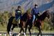 ARCADIA, CA - OCTOBER 30: Ricahrd's Kid is lead to train in preparation for the 2012 Breeder's Cup at Santa Anita Park on October 30, 2012 in Arcadia, California. (Photo by Harry How/Getty Images)
