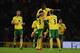 NORWICH, ENGLAND - OCTOBER 31: Alex Tettey of Norwich City celebrates a goal during the Capital One Cup Fourth Round match between Norwich City and Tottenham Hotspur at Carrow Road on October 31, 2012 in Norwich, England. (Photo by Jamie McDonald/Getty Images)