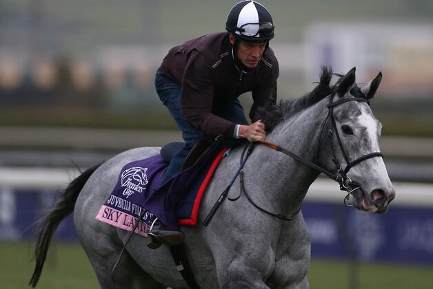 Breeders' Cup 2012: Morning-Line Favorites You Should Avoid Betting on