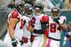PHILADELPHIA, PA - OCTOBER 28: Drew Davis #19 of the Atlanta Falcons celebrate his touchdown with teammates Peter Konz #66, Matt Ryan #2 and Roddy White #84 against the Philadelphia Eagles during the first half in a game at Lincoln Financial Field on October 28, 2012 in Philadelphia, Pennsylvania. The Falcons defeated the Eagles 30-17. (Photo by Rich Schultz /Getty Images)