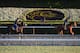 Famed Santa Anita race track will be home to the first ever Breeders' Cup Championship aired in Prime-time