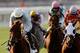 Point of Entry is the horse to beat!