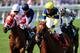 Wise Dan will challenge the track record in the Turf Mile