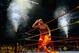 MELBOURNE, AUSTRALIA - NOVEMBER 21: Hulk Hogan works the crowd during Hulk Hogan's Hulkamania Tour at Rod Laver Arena on November 21, 2009 in Melbourne, Australia. (Photo by Mark Dadswell/Getty Images)