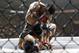 Gregor Gracie on top
