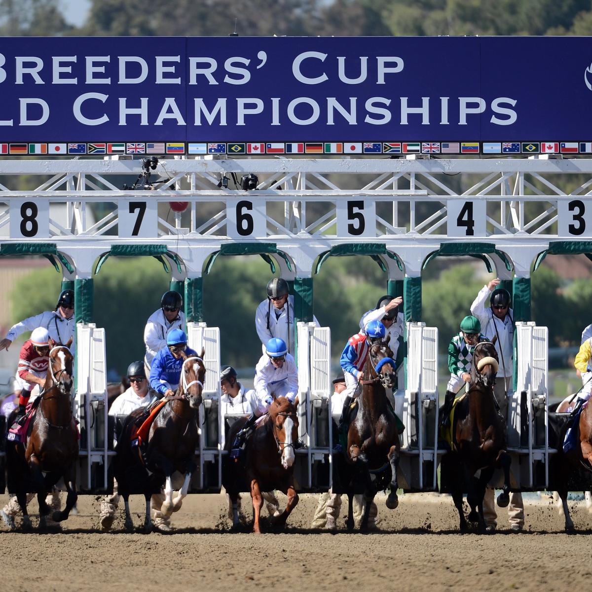 Breeders Cup 2012 Results Complete Winners And Losers For Races