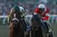 ARCADIA, CA - NOVEMBER 03: Jockey Brian Hernandez Jr. atop Fort Larned (R) finishes ahead of jockey Mike Smith atop Mucho Macho Man to win the Breeders' Cup Classic Race during the 2012 Breeders' Cup at Santa Anita Park on November 3, 2012 in Arcadia, California. (Photo by Jeff Gross/Getty Images)