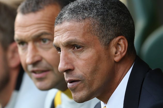 Chris Hughton Hails Norwich as a 'Secure Unit' After Victory over Stoke