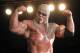 Courtesy of TNA Wrestling