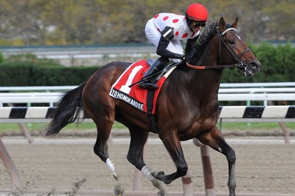4YO to Honor and Serve Retired from Racing