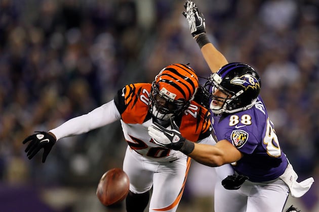 Bengals Activate DT Sims