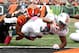 CINCINNATI, OH - OCTOBER 07: Running back Daniel Thomas #33 of the Miami Dolphins, runs the ball into the endzone to score a touchdown against the Cincinnati Bengals at Paul Brown Stadium on October 7, 2012 in Cincinnati, Ohio. (Photo by Tyler Barrick/Getty Images)