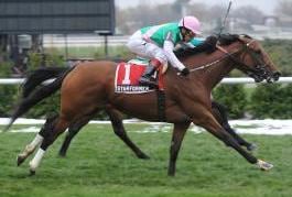 Starformer Holds On to Win Grade 3 Long Island