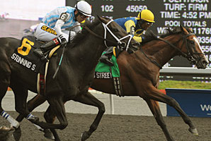 Jamesstreetseagramcup2011mb298_crop_north