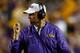 BATON ROUGE, LA - NOVEMBER 10: Head coach Les Miles of the LSU Tigers reacts to a play against the Mississippi State Bulldogs at Tiger Stadium on November 10, 2012 in Baton Rouge, Louisiana. (Photo by Chris Graythen/Getty Images)