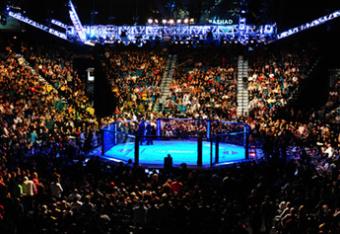 Ufccrowd_crop_north