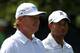 Both Ernie Els and Tiger Woods had big Comeback Years in 2012