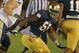 SOUTH BEND, IN - NOVEMBER 03: Prince Shembo #55 of the Notre Dame Fighting Irish rushes against the Pittsburgh Panthers at Notre Dame Stadium on November 3, 2012 in South Bend, Indiana. Notre Dame defeated Pittsburgh 29-26 in triple overtime. (Photo by Jonathan Daniel/Getty Images)
