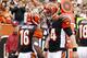 The Bengals have reasons to be optimistic as they head into Week 11.