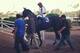 Eblouissante strolls into the winner's circle at Hollywood Park after a smashing debut win.