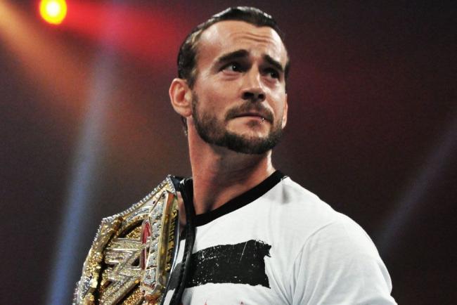 Punkbelt_crop_north