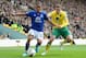 NORWICH, ENGLAND - APRIL 07: Steven Pienaar of Everton is challenged by Grant Holt of Norwich during the Barclays Premier League match between Norwich City and Everton at Carrow Road on April 7, 2012 in Norwich, England. (Photo by Mike Hewitt/Getty Images)