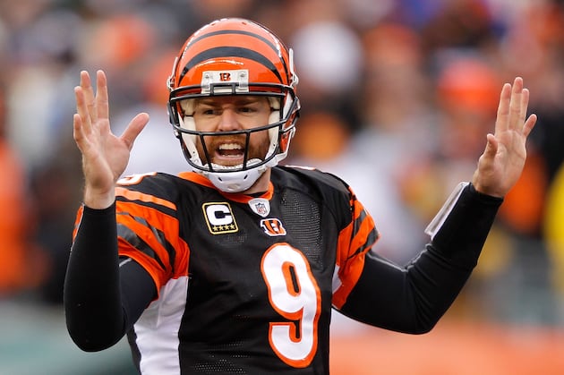 Bengals Can't Sell out Palmer Reunion