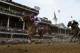 2012 Kentucky Derby Winner: I'll Have Another