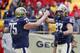 PITTSBURGH, PA - NOVEMBER 24: Mike Shanahan #87 of the Pittsburgh Panthers celebrates after a first half touchdown catch against the Rutgers Scarlet Knights during the game on November 24, 2012 at Heinz Field in Pittsburgh, Pennsylvania. (Photo by Justin K. Aller/Getty Images)