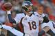 KANSAS CITY, MO - NOVEMBER 25: Quarterback Peyton Manning #18 of the Denver Broncos throws a pass down field against the Kansas City Chiefs during the second half on November 25, 2012 at Arrowhead Stadium in Kansas City, Missouri. Denver defeated Kansas City 17-9. (Photo by Peter Aiken/Getty Images)