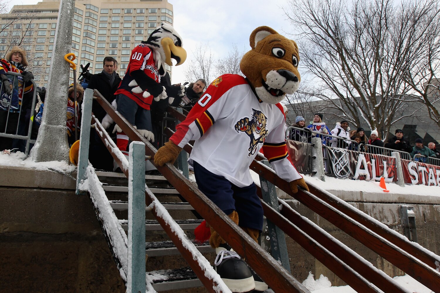 NHL Power Rankings Ranking the Team Mascots from Worst to First