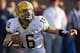 Sep 24, 2011; Minneapolis, MN, USA: North Dakota State Bisons quarterback Brock Jensen (16) looks for someone to pass to in the first quarter against the Minnesota Gophers at TCF Bank Stadium. Mandatory Credit: Jesse Johnson-US PRESSWIRE