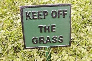 Cubs Spent $400,000 to Replace Worn out Wrigley Field Grass
