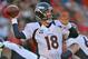KANSAS CITY, MO - NOVEMBER 25: Quarterback Peyton Manning #18 of the Denver Broncos throws a pass down field against the Kansas City Chiefs during the second half on November 25, 2012 at Arrowhead Stadium in Kansas City, Missouri. Denver defeated Kansas City 17-9. (Photo by Peter Aiken/Getty Images)
