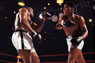 Gloves_crop_north