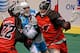 (Photo: Larry Palumbo, nll.com)