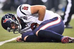 Schaub_crop_north
