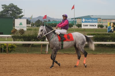 Another Horse of the Year Title on the Cards for 'Bruce'