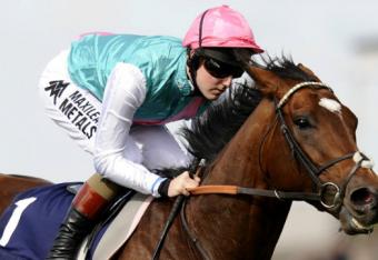 121016120438-frankel-horizontal-gallery_crop_north