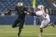 SEATTLE, WA - SEPTEMBER 27: Wide receiver Kasen Williams #2 of the Washington Huskies rushes against Usua Amanam #15 of the Stanford Cardinal on September 27, 2012 at CenturyLink Field in Seattle, Washington. (Photo by Otto Greule Jr/Getty Images)