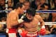 Juan Manuel Marquez and Manny Pacquiao are must see TV