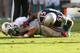 MIAMI GARDENS, FL - DECEMBER 02: Ryan Tannehill #17 of the Miami Dolphins is sacked by Jerod Mayo #51 of the New England Patriots during a game at Sun Life Stadium on December 2, 2012 in Miami Gardens, Florida. (Photo by Mike Ehrmann/Getty Images)