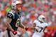 MIAMI GARDENS, FL - DECEMBER 02: Aaron Hernandez #81 of the New England Patriots reacts to a play during a game against the Miami Dolphins at Sun Life Stadium on December 2, 2012 in Miami Gardens, Florida. (Photo by Mike Ehrmann/Getty Images)