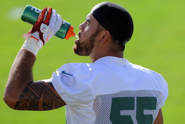 Dolphins' WR Davone Bess, LB Koa Misi Inactive
