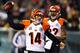 Cincinnati's playoff hopes hinge on their Week 16 meeting with the Steelers. No pressure or anything.