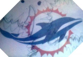 New-dolphins-logo-cropped_crop_north