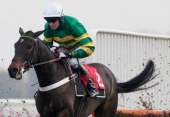 Darlan_crop_north